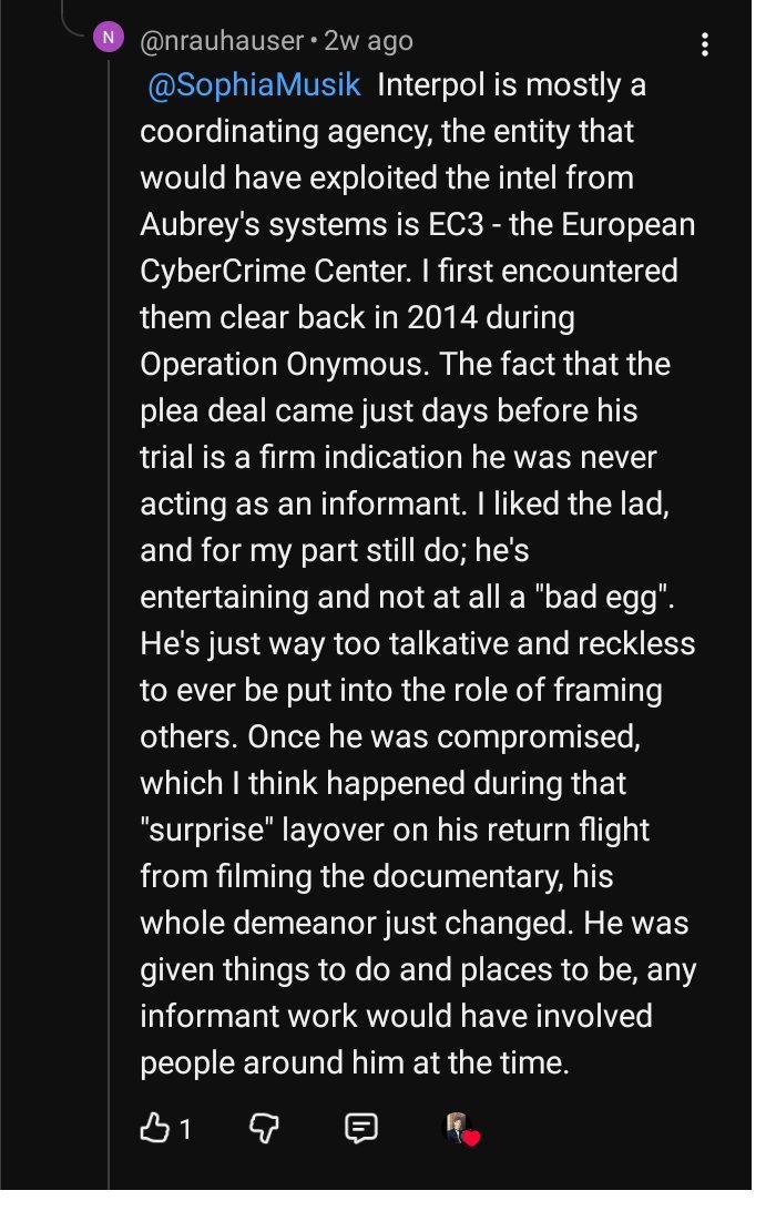 Comentario de nrauhauser en YouTube respondiendo a SophiaMusik: dice que Interpol es sobre todo una agencia de coordinación, que el EC3 de Europol habría explotado inteligencia de los sistemas de Aubrey, que los conoció en 2014 durante la Operación Onymous, y que un acuerdo de culpabilidad días antes del juicio indica que Aubrey nunca fue informante