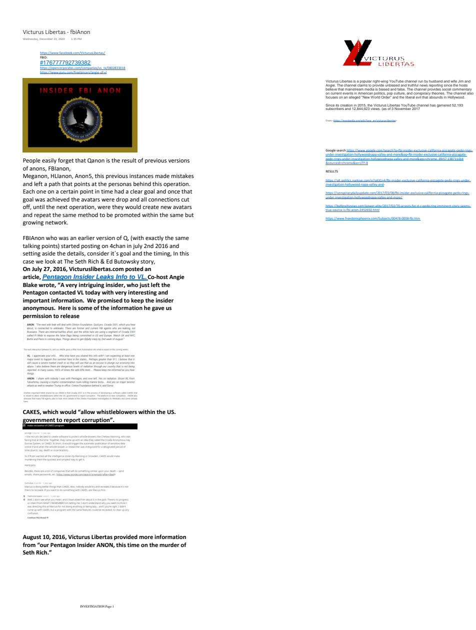 Primera página del documento de investigación sobre Victurus Libertas y FBIAnon