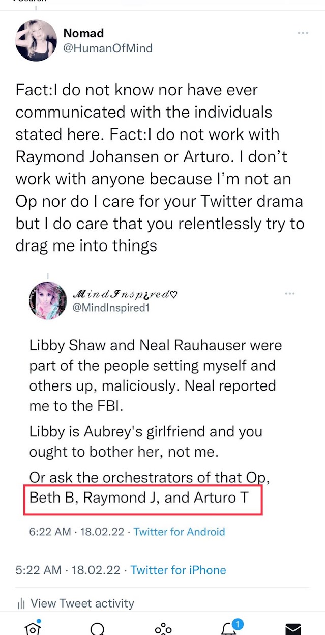 Screenshot of a tweet by @HumanOfMind (Nomad), Feb 18, 2022, stating she does not know or work with the individuals stated, nor with Raymond Johansen or Arturo. It quotes @MindInspired1 saying Libby Shaw and Neal Rauhauser were part of the people setting her and others up, that Neal reported her to the FBI, and to ask the orchestrators of that op, "Beth B, Raymond J, and Arturo T," which is boxed in red.